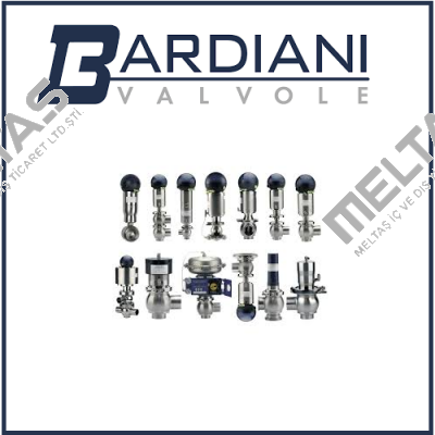 BBZP, KEGELVENTIL, DN 21/2" ODER DN65, LEPDM Bardiani Valvole