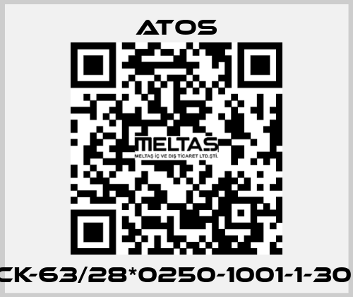 CK-63/28*0250-1001-1-30  Atos