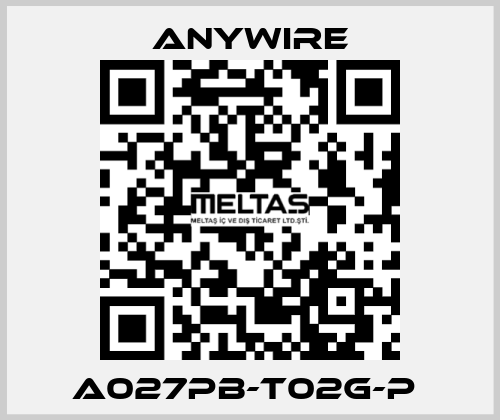 A027PB-T02G-P  Anywire