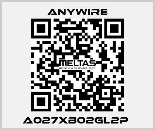 A027XB02GL2P  Anywire