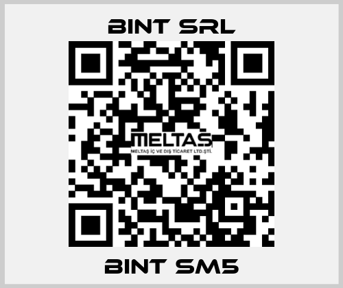 BINT SM5 BINT SRL