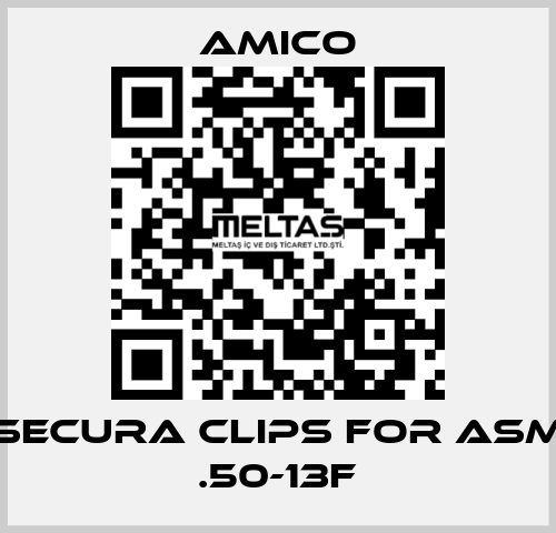 Secura Clips for ASM .50-13F AMICO