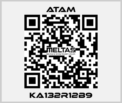 KA132R12B9 ATAM