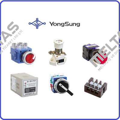  TYPE: YSFS-C22-M5  YongSung Electric