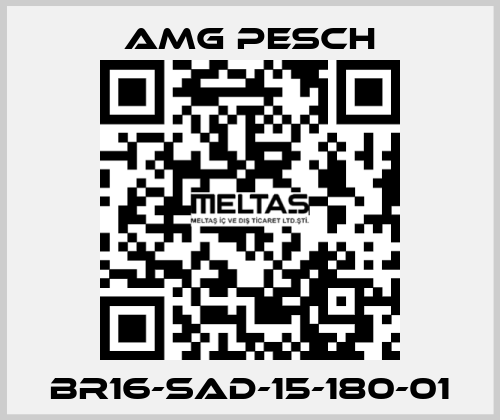 BR16-SAD-15-180-01 AMG Pesch