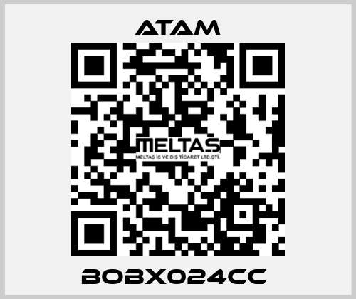BOBX024CC  ATAM