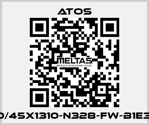 CK-80/45X1310-N328-FW-B1E3X1Z3 Atos