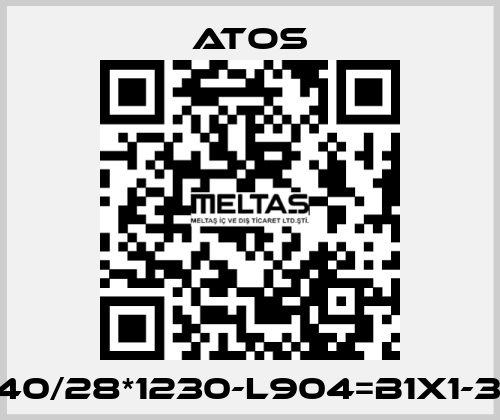 CK-40/28*1230-L904=B1X1-33-X Atos