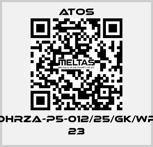 DHRZA-P5-012/25/GK/WP 23 Atos