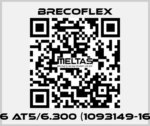 16 AT5/6.300 (1093149-16) Brecoflex