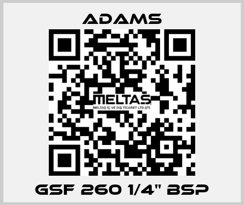 GSF 260 1/4" BSP ADAMS