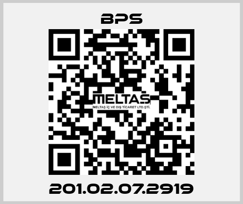 201.02.07.2919 BPS