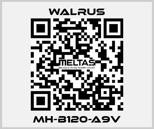 MH-B120-A9V Walrus