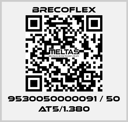 9530050000091 / 50 AT5/1.380 Brecoflex