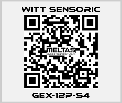 GEX-12P-S4 Witt Sensoric