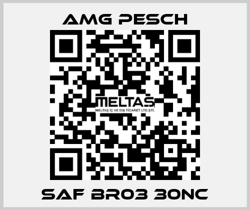 SAF BR03 30NC AMG Pesch