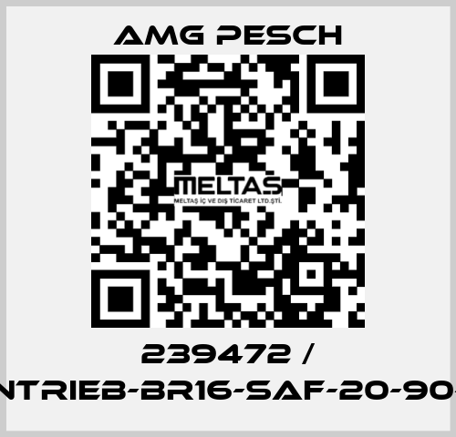 239472 / AMG-Antrieb-BR16-SAF-20-90-01-n=12 AMG Pesch