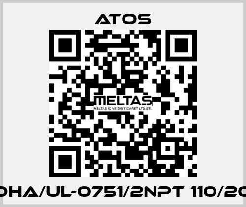 DHA/UL-0751/2NPT 110/20 Atos