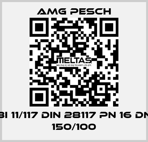 BI 11/117 DIN 28117 PN 16 DN 150/100 AMG Pesch