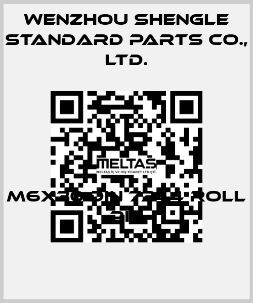 M6x30 DIN 7344 roll pin Wenzhou Shengle Standard Parts Co., Ltd.