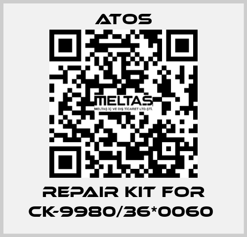 REPAIR KIT FOR CK-9980/36*0060  Atos