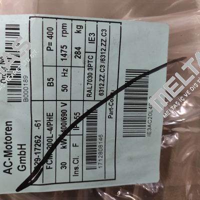 FCM 200 L4 / PHE B5 AC Motoren