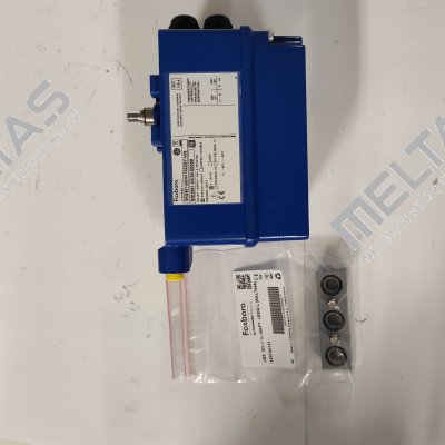 SRD991-BDNV7ZZZNY-V06 Foxboro