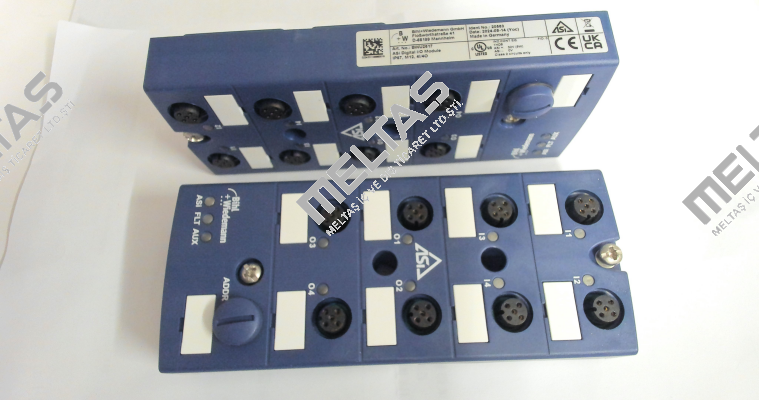 BWU2617 Bihl Wiedemann