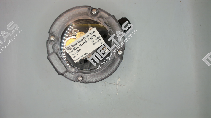 528007 Badger Meter