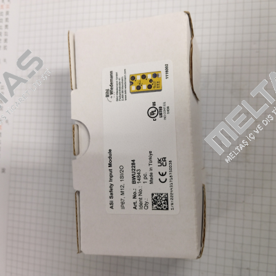 BWU2284 Bihl Wiedemann