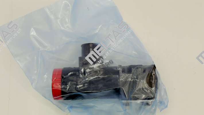 WE01-4L100Z24/0H Voith