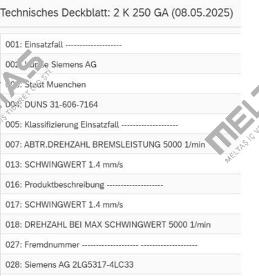 2K250GA// 4161 071 0605 Zf