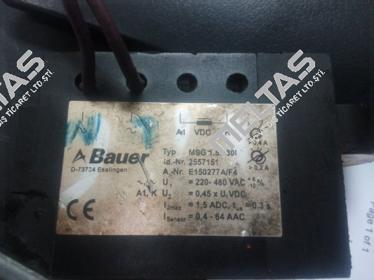 30404564 Bauer