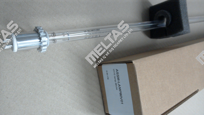 ASSM-LAMP80V01 Berson