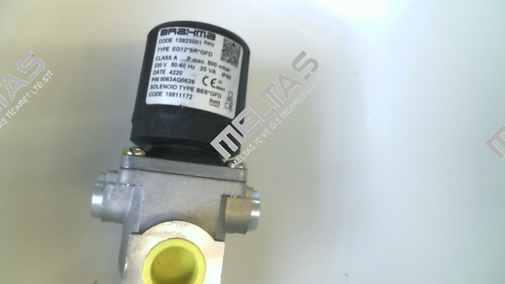 EG12*SR*GFD Brahma