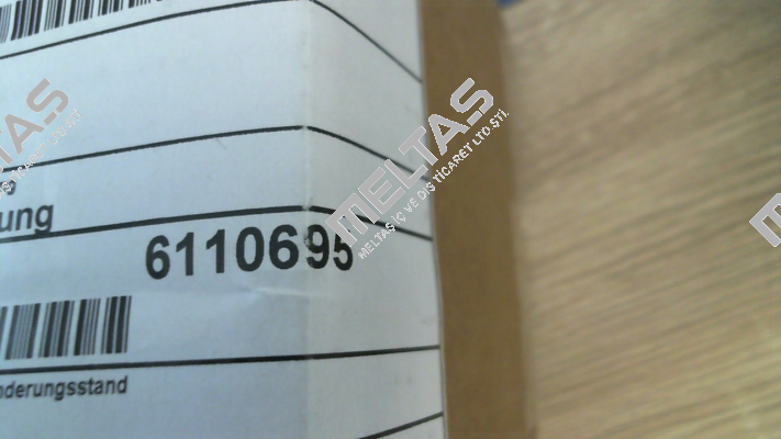 6110695 Baumann