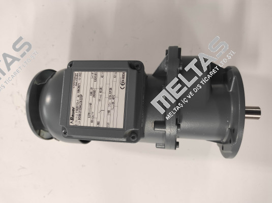 BG06-31/D04LC6-D/SP Bauer