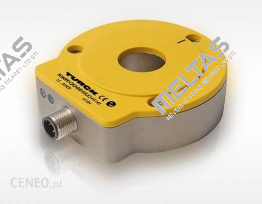 RI-16S10C-1B3600-C 1M Turck