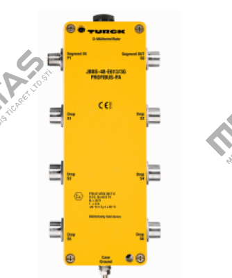 JBBS-48-E613/3G Turck