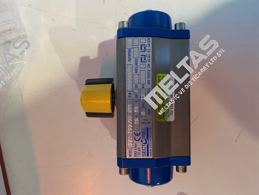 017004 Alpha Pompe