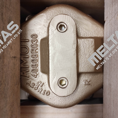 3BOCB09501-F2-AA Amot