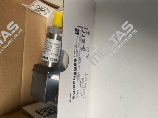 30.600G-1002-R-1-8-100-N40-2-1-000 Bd Sensors