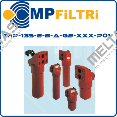 FHP-135-2-B-A-G2-XXX-P01  MP Filtri