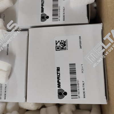 MF-180-1-A10-H-B-P01 MP Filtri