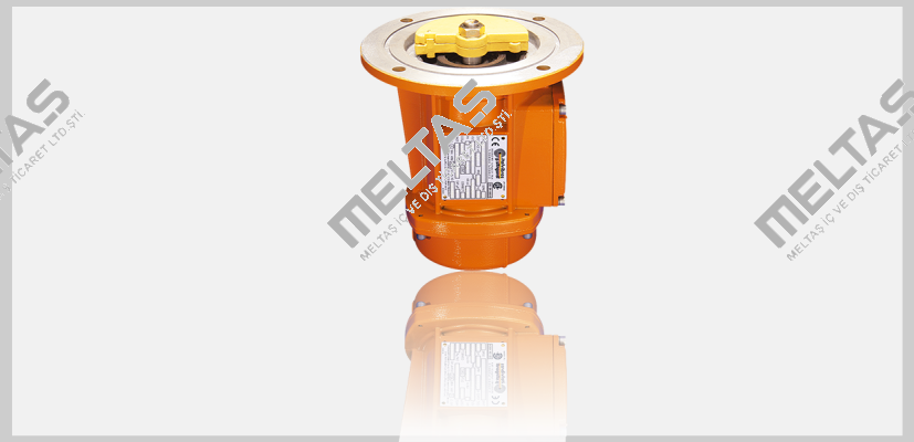 MTF3-65-S02  Italvibras