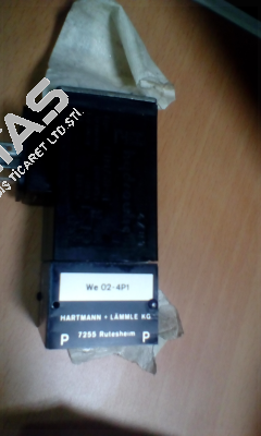 WE02-4P100E110/6H Voith