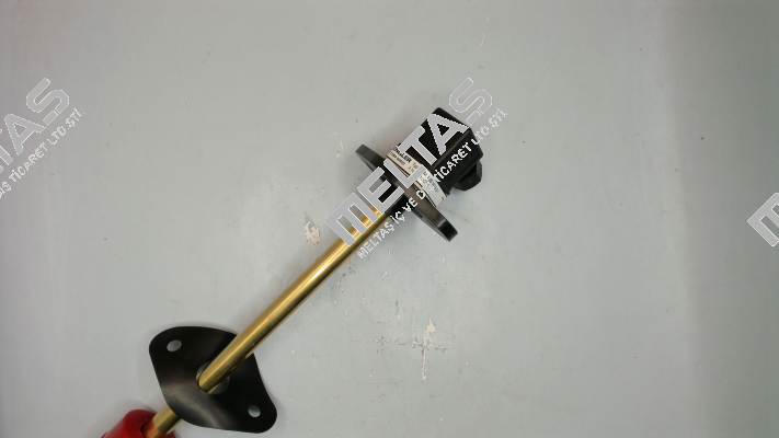 SSM.1.B5.180.5.S1 Engler