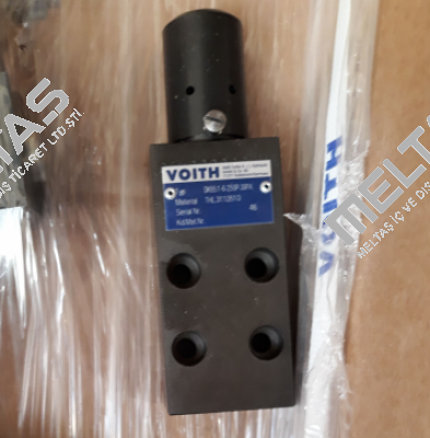 DK55.1-6-250P-391K Voith