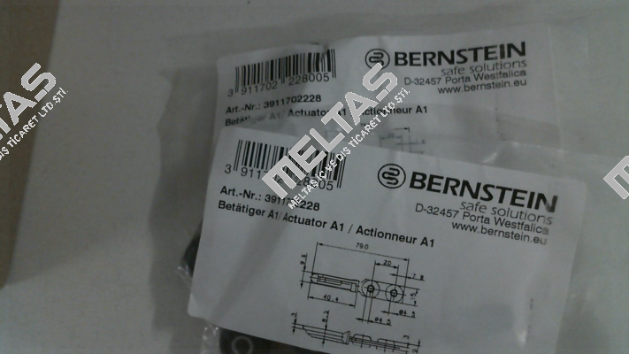 3911702228 / A1 Bernstein