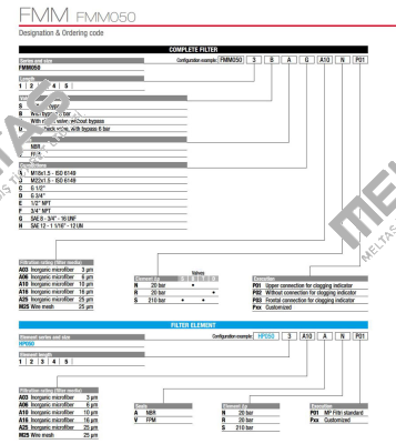 FMM-050-2-B-A-B-A10-N-P01 MP Filtri